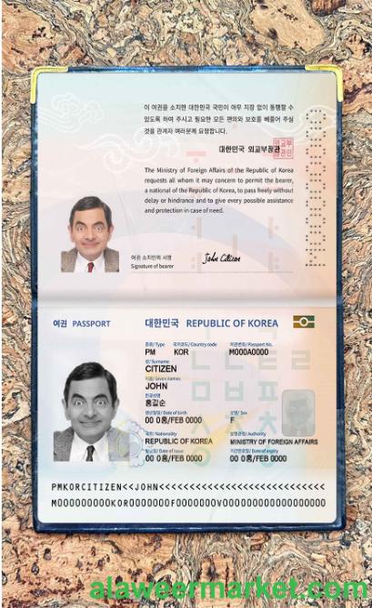 Korea passport (2021-present) photo look